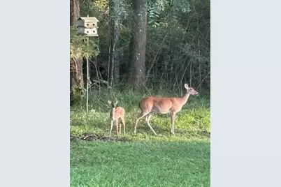 5 Oak Crest Circle, Magnolia, TX 77354 - Photo 41