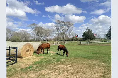 13700 Burnett Road, Beasley, TX 77417 - Photo 25