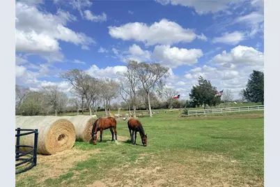13700 Burnett Road, Beasley, TX 77417 - Photo 21