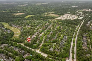 3 S Altwood Cir, The Woodlands, TX 77382 - Photo 49