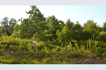 597 Road 5516, Cleveland, TX 77327 - Photo 7