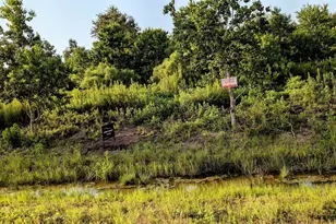 597 Rd 5516, Cleveland, TX 77327 - Photo 1