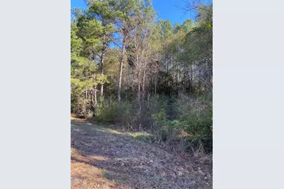 6442 Fm-3065, Colmesneil, TX 75938 - Photo 5