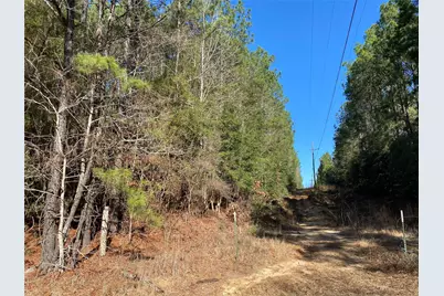 6442 Fm-3065, Colmesneil, TX 75938 - Photo 9