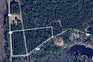 6442 FM3065, Colmesneil, TX 75938 - Photo 1