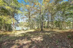 14948 Colt Ln Lot 8-9, Willis, TX 77378 - Photo 5