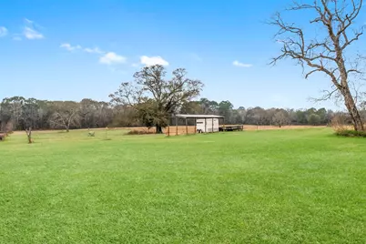 18226 Fm 1484 Road, Conroe, TX 77303 - Photo 5