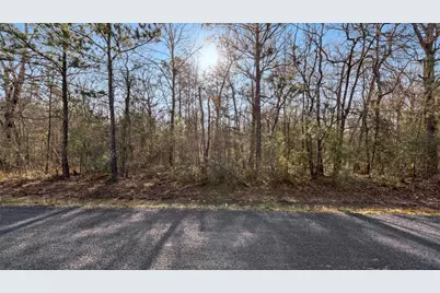 Tbd1 Rhonda Rosa Road, Wallisville, TX 77597 - Photo 5