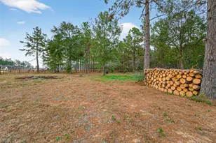 16601 Crosby St, Conroe, TX 77303 - Photo 43