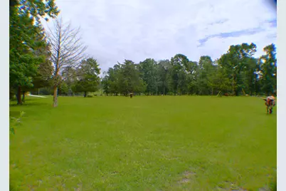 6450 & 6390 Fm-2025, Coldspring, TX 77328 - Photo 37