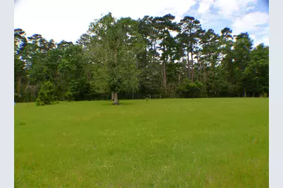 6450 & 6390 Fm-2025, Coldspring, TX 77328 - Photo 31