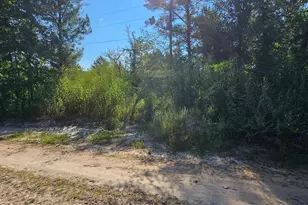 Tbd Alabama Dr, Huntsville, TX 77320 - Photo 1