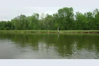 497 Brahman Trail, Angleton, TX 77515 - Photo 5