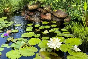 4727 Sugar Maple Ct, Fulshear, TX 77441 - Photo 41