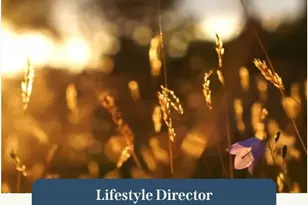 409 Silver Moon Wy, Katy, TX 77493 - Photo 27