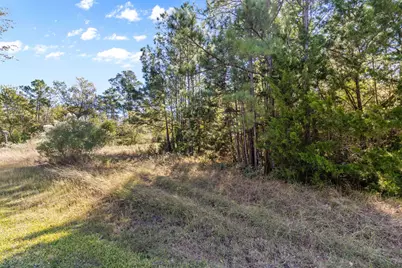 26 N Royale Greens Drive, Coldspring, TX 77331 - Photo 5