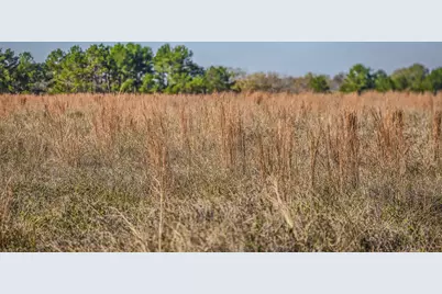 Tbd Lot 1 & 2 Podraza Road, New Waverly, TX 77358 - Photo 7