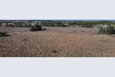 Tbd Lot 1 & 2 Podraza Road, New Waverly, TX 77358 - Photo 9