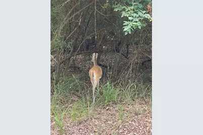 0 Hilltop, Crockett, TX 75835 - Photo 5