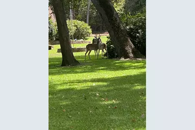 0 Hilltop, Crockett, TX 75835 - Photo 13