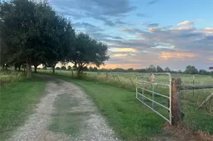 5848 Mieth Rd, Sealy, TX 77474 - Photo 23