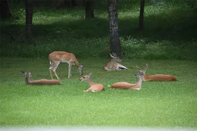 3287 Bradley Lane, Brenham, TX 77833 - Photo 37