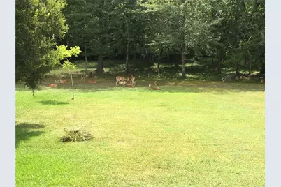 3287 Bradley Lane, Brenham, TX 77833 - Photo 39