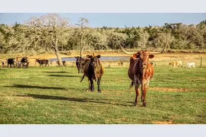 12893 E State Highway 97, Waelder, TX 78959 - Photo 29