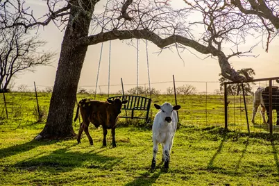 12893 E State Highway 97, Waelder, TX 78959 - Photo 27