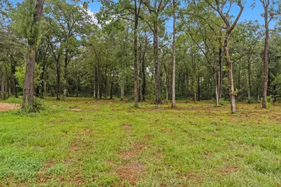 15651 Ben Wiggins Road, Conroe, TX 77303 - Photo 47