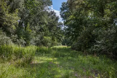 12151 State Highway 75 N, Buffalo, TX 75831 - Photo 41