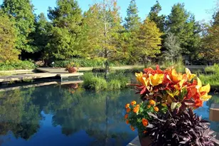 1485 Little Cypress Loop, Orange, TX 77632 - Photo 5