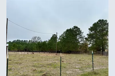 707 Bill Rasbeary Road, Woodlake, TX 75865 - Photo 3