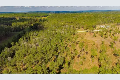 922 Rolling Pines Drive, Livingston, TX 77351 - Photo 9