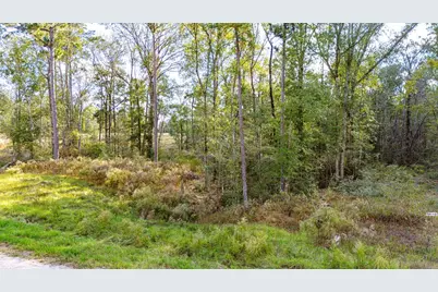 922 Rolling Pines Drive, Livingston, TX 77351 - Photo 13
