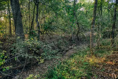 15484 Borgstedte Road, Washington, TX 77880 - Photo 23