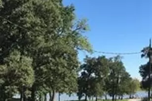 496 Campground Rd, Trinity, TX 75862 - Photo 19
