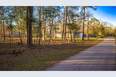 171 Whiteside Drive, Onalaska, TX 77360 - Photo 41