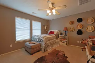 24403 Hampton Lakes Dr, Katy, TX 77493 - Photo 35