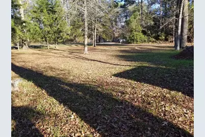 Tbd Acorn, Livingston, TX 77351 - Photo 1