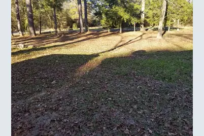 Tbd Acorn, Livingston, TX 77351 - Photo 3