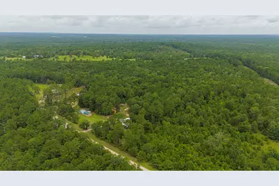 300 Collier, Point Blank, TX 77364 - Photo 39