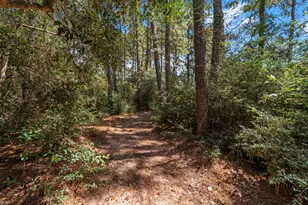 1534 Virgie Community Rd, Magnolia, TX 77354 - Photo 49