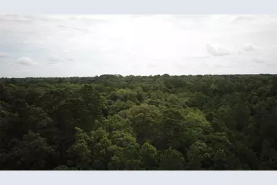 000 Love Drive, Cleveland, TX 77327 - Photo 5