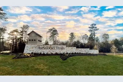 25461 Black Spruce Drive, Cleveland, TX 77328 - Photo 33