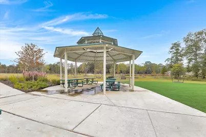 25461 Black Spruce Drive, Cleveland, TX 77328 - Photo 29