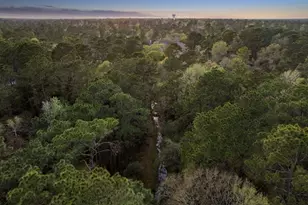 2 Thundercreek Pl, Spring, TX 77381 - Photo 43