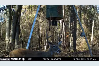 Tbd Hwy 69 N, Woodville, TX 75979 - Photo 39