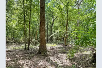 Tbd Hwy 69 N, Woodville, TX 75979 - Photo 17