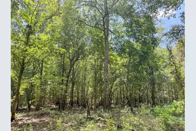 Tbd Hwy 69 N, Woodville, TX 75979 - Photo 19